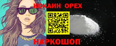 МДПВ Кингисепп