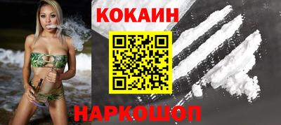 МДПВ Кингисепп