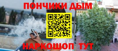 МДПВ Кингисепп
