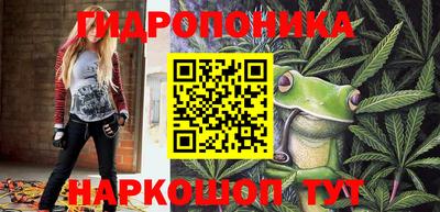 МДПВ Кингисепп