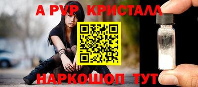 МДПВ Кингисепп